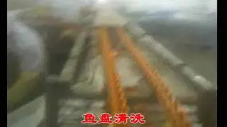 Tuna Fish Canning Production Line