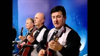 Tamburaški sastav Bedem - Golubice bijela ( uživo )