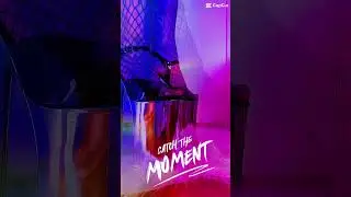 Pleaser Shoes Pole Dance EXOTIC Heels Bejond