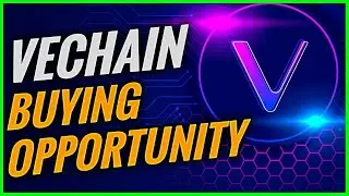 Insane VET Buying Opportunity Ahead!