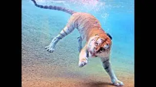 Cosmic Revenge ~ Diving Deep