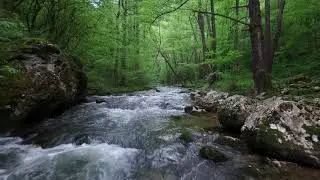 V&iacute;deo de r&iacute;os gratis sin copyright 1 / Paisaje / Piedra / Naturaleza - Pixabay