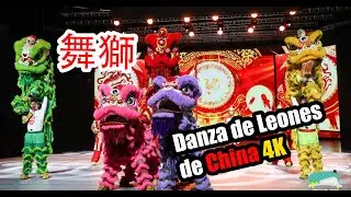 Show de Danza China: Danza de Leones Chinos y Dragones 2025 4K