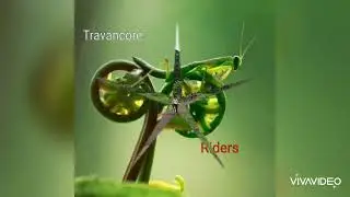 Feel our ride-Travancore Riders