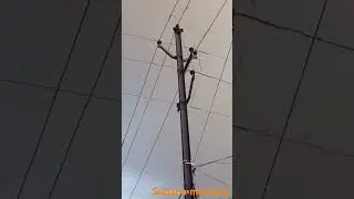 mausam hai aashiqana | Suhana mausam at central revenue colony| #music #ytshorts #trending