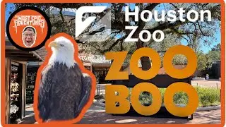 @houstonzoo Zoo Boo 10-30-2022