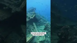 Dive a US Navy Shipwreck in the middle of the Indian Ocean #shipwreck #scubadiving #ocean #fyp