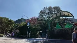 COMING OFF THE GONDOLA IN THE HILLS WHERE THEY GROW TEA.
