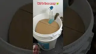Too many mice #mousetrap #rattrap #animals #bucketmousetrap #shortsvideo #shorts #viralvideo #viral