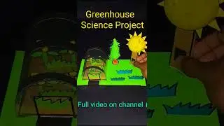 Greenhouse project for school #youtubeshorts #shorts #short