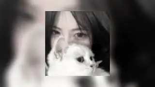 HALF OF ME - Shae (Sped Up)