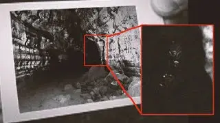 Dragon or Lizard like creature caught on photo in world largest cave