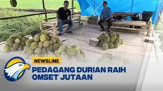 Musim Durian di Polewali Mandar Jadi Sumber Rezeki - [Newsline Bisnis]