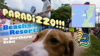 PARADIZZO Beach Resort in Medellin Cebu | Family Outing
