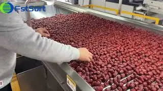 Dates Grading Machine;Jujube Sorting Machine
