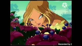 Opening and closing to Winx club 1991 2006 aardman wildbrain 22nd anniversary special