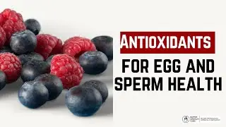 How Antioxidants Shield our Eggs and Sperm ? | Antioxidants and their Impact on Fertility