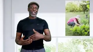The OBG Show - Live: Squatting is Good For You