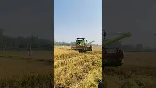 #2025 Vishal 435🥰❤️#farming #farmer #jattlife #420 #1k #500subs #60歳代 #80smusic #786 #90shindisongs
