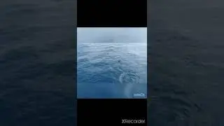 Class:2 Unit:1 Wonderful sea poem