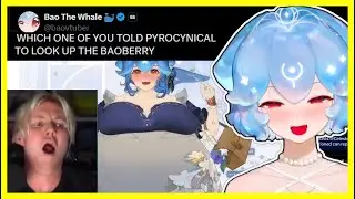 Bao Finds Out PYROCYNICAL Discovered the BAOBERRY