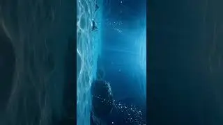 KaxiraK - nocchi