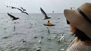 昆明滇池 - 春天之旅