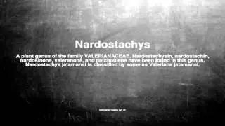Medical vocabulary: What does Nardostachys mean