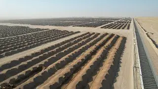 Lamor's Kuwait site remediation project Update - November