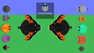 When You Disconnected But You Did Not Expected in Mope