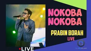 PRABIN BORAH LIVE PERFORMANCE || PRABIN BORAH 