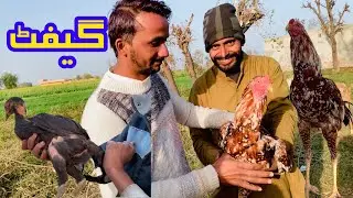 Murgha gift kar diya||hamza ghouri vlogs 
