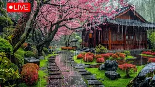 Japanese Rain Garden 🌧️ Rain Sounds for Sleeping - Heavy Rain for Deep Sleep, Study, Relieve Stress