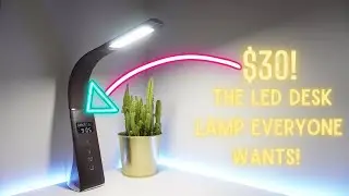 The Best Amazon Desk Lamp!