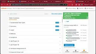 zyBooks Assignment Submission Correction