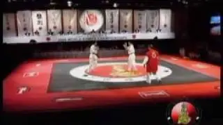 2008 World Kumite Organization Championships Middleweight Fight 12