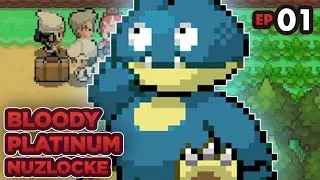 NOSTALGIEFLASHBACK IN SCHWER - Pokemon Bloody Platinum Redux [Nuzlocke] - [01]