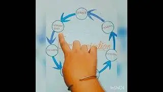 Communication cycle & its elements of communication cycle