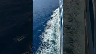 #FerryDeparture #Propriano #CorsicaPort #CorsicaTravel #BateauCorsica #FerryRide