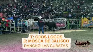 T: Ojos Locos 🆚 J: Mosca de Jalisco