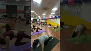 🔥 Daily New Yoga Pose 🔥 #song #bollywood #music #coversong #yogapose