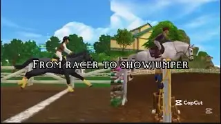 From racer to showjumper - part 1