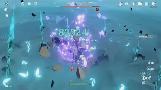 Xiao C6 vs Raiden Shogun | Genshin Impact
