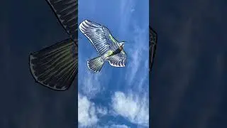 Eagle kite #kite #eagle #xaidoy