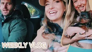 WEEKLY VLOG | Yorkie Puppy, Home Bargains Haul, Chickpea Blondies Recipe