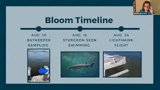 San Francisco Bay Summer Algae Bloom Debrief with SF Baykeeper