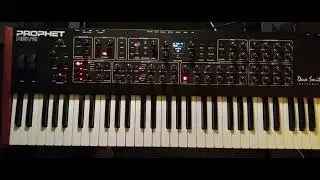 Prophet Rev 2 / Groovy G / (Original Song)  Ambient