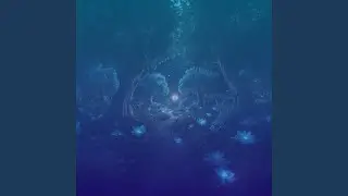 garden of soul
