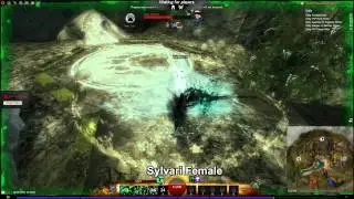 GW2 Reaper Skill animations on all races and gender