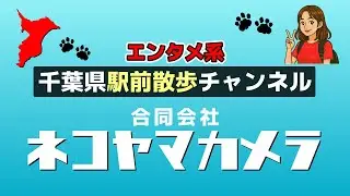 千葉県駅前散歩チャンネル「ネコヤマカメラ」紹介動画